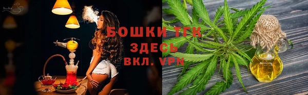 прущий лед Богородицк