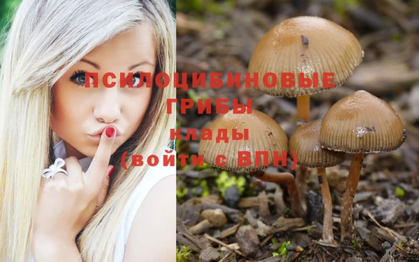 дживик Беломорск