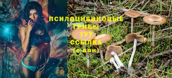 герыч Богородск